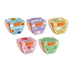 Blumiger Mini-Tontopf im Display, 5/s