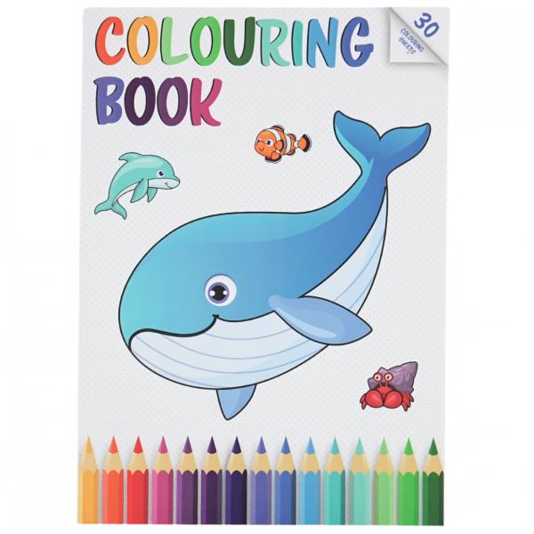 Malbuch A4 30 Seiten 6fach sortiert