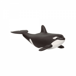 Schleich 14836 - Spielfigur, Wild Orka Junges