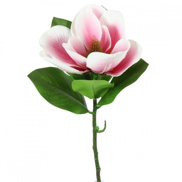 Countryfield Künstliche Blume Magnolie weiß/rosa 65 cm
