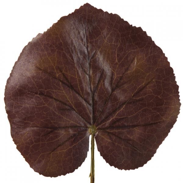 Countryfield Kunst Blatt Jay L 51 cm