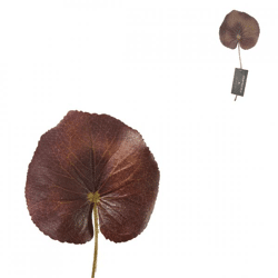 Countryfield Art Sheet Jay S 22 cm