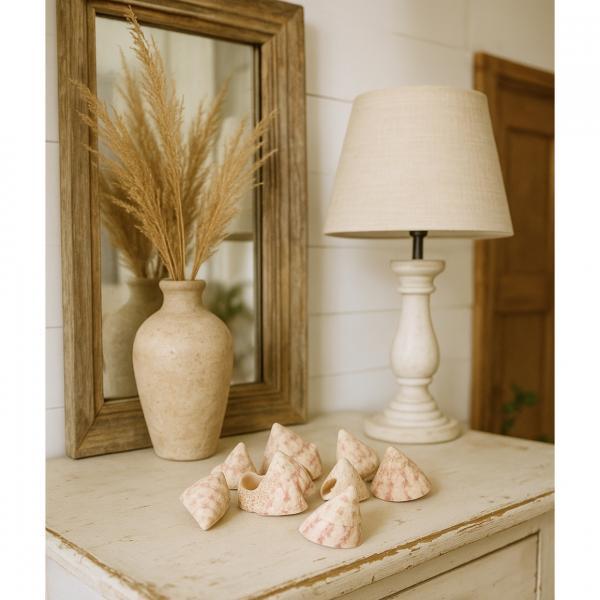 Decoration shells Barnacle 380 gr