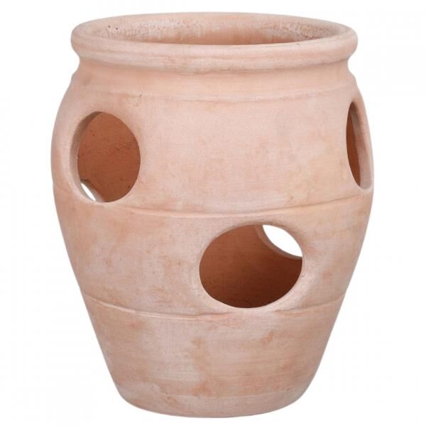 Glimmer Erdbeere Blumentopf Terrakotta 31 cm