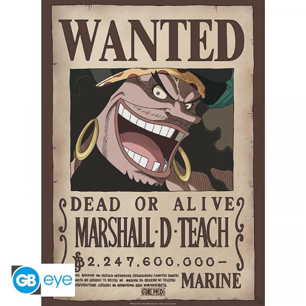ONE PIECE - Poster Chibi 52x38 - Wanted Blackbeard&nbsp;