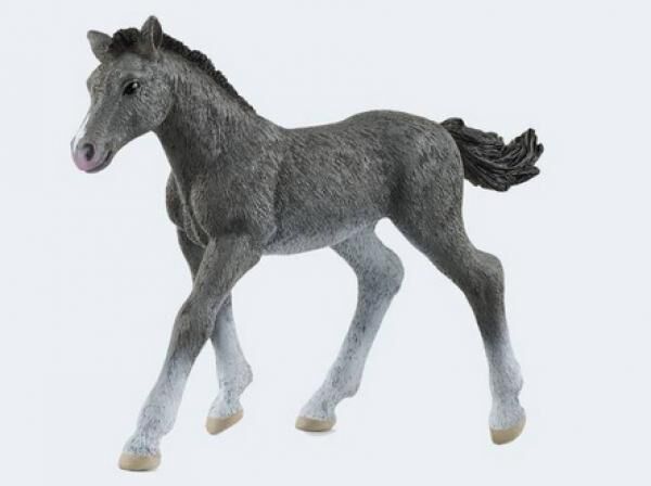 Schleich 13944 - Spielfigur, Trakehner Fohlen