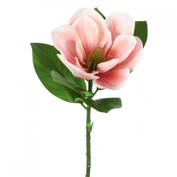 Countryfield Künstliche Blume Magnolie rosa 65 cm