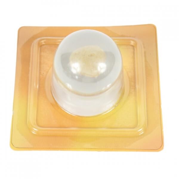 Muschel in transparenter Kugel 4,5 cm