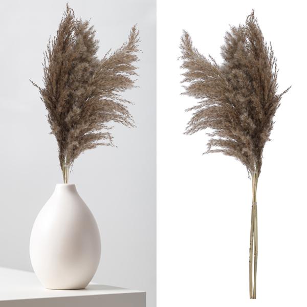 Pampas grass, natural, bunch of 3, approx. 90-100cmL