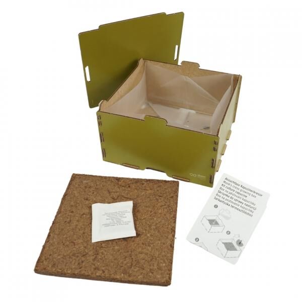 (R) Tchibo Zimmergewächshaus Kapuzinerkresse 19,5 cm THT 12-2024 VE 24