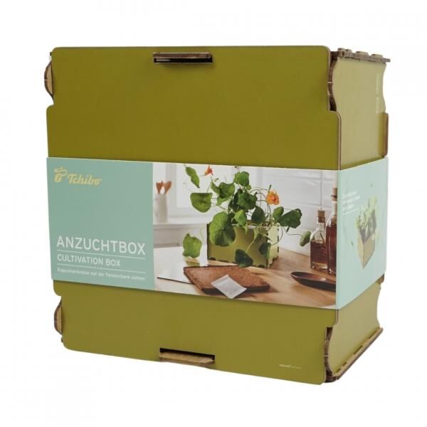 (R) Tchibo Zimmergewächshaus Kapuzinerkresse 19,5 cm THT 12-2024 VE 24