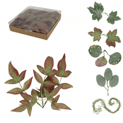 Home Accents decoratie bladeren/tillandsia 12 cm 6 assorti