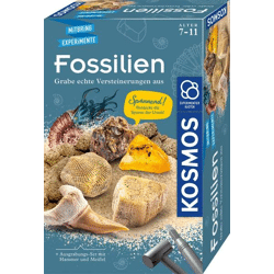 Kosmos 657918 - Fossilien