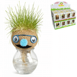 Gras Kopf Gesicht Pflanze in Vase 12 cm 4 sortiert