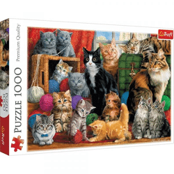 Katzen - Puzzle 1000 Teile