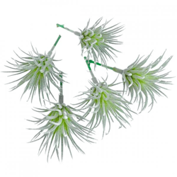 Kunstpflanze Tillandsia grün 7,5 cm Satz von 5