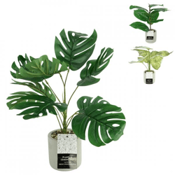 Artificial plant in cement pot 40 cm 3 assorti