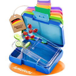 Brotdose für Kinder mit Fächern – 500ml, Auslaufsicher, BPA-Frei