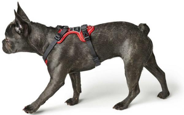 HUNTER DIVO Reflect S/M - Hundegeschirr schwarz/grau, reflektierend, EAN 4016739689603