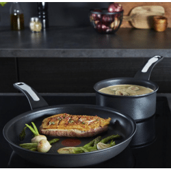 Tefal saucepan 20 cm induction