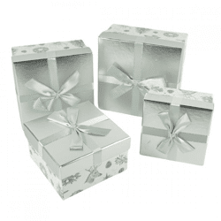 Noor Living Geschenkbox silber 20 cm 4er Set
