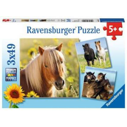 Liebe Pferde - Puzzle - 3x49 Teile