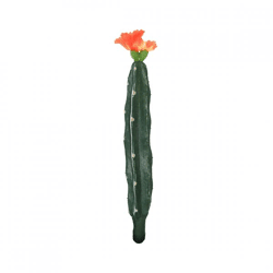 Kaktus mit Blüte orange/grün 23 cm