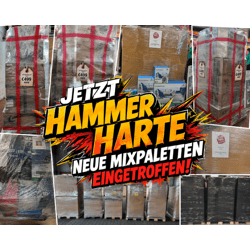 Mixpaletten A Ware Haushalt Deko Spielwaren Garten Elektro Baumarkt Paletten Restposten Sonderposten Neuware Mystery 