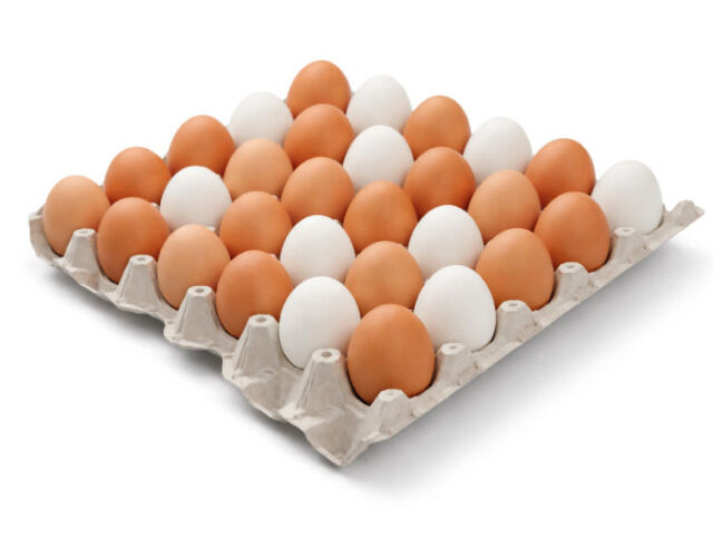 30er Premium Eier-Tray Eierpappe Höckerlage PAL