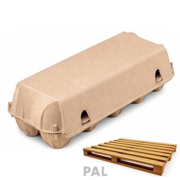 10er Premium Eierschachtel natur ohne Aufdruck  -PAL-