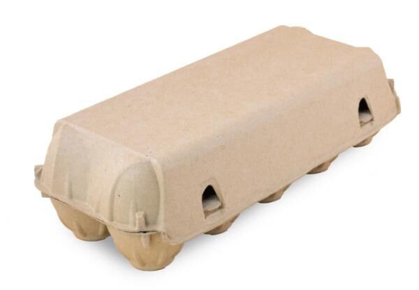 10er Premium Eierschachtel natur ohne Aufdruck  -PAL-