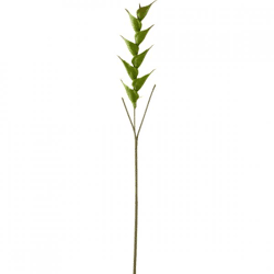 J-Line künstlicher Zweig Heliconia grün 141 cm