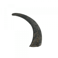 Hornbüffel 25 cm