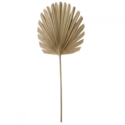 Licht und Leben Blatt Plantae natürlich 103 cm