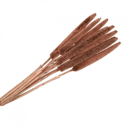 Drying branch Babala copper 70 cm