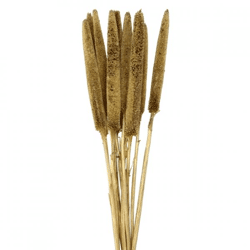 Drying branches Babala golden 75 cm