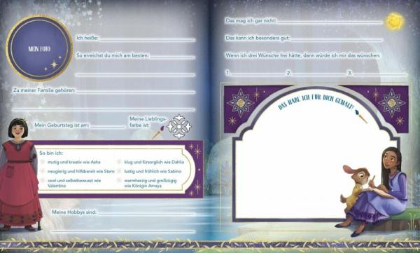 Disney Wish: Meine Freunde - Freundebuch