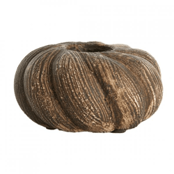 Light & Living Kerzenhalter Cavalla braun 14,5 cm