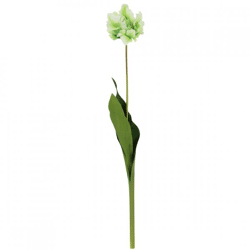 Countryfield artificial flower Tulip Tulipa green 73 cm
