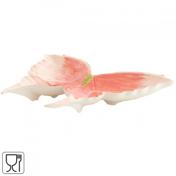 Light & Living Schale Schmetterling rosa 27,5 cm