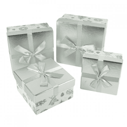 Noor Living Geschenkbox silber 20 cm 4er Set