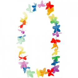 Folat Hawaii Kranz Regenbogen