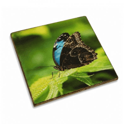 Untersetzer Schmetterling Ikarus blau Holz 10 x 10 cm