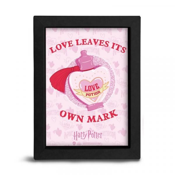 Harry Potter - Frame Kraft 15x20cm - LOVE - Love Potion