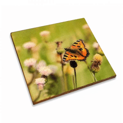 Untersetzer Schmetterling Distel Schmetterling Holz 10 x 10 cm