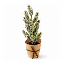 Weihnachtsbaum im Krafttopf 22 cm