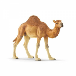 Schleich 14832 - Play figure, Wild Dromedary
