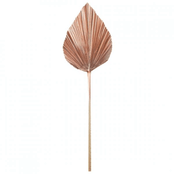 Licht und Leben Blatt Plantae kupferfarben 90 cm