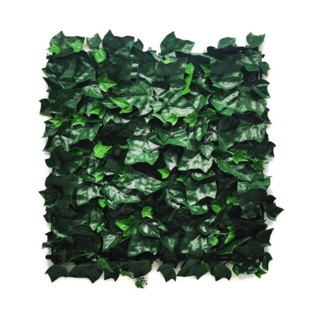 Remaining stock Artificial hedge Hedera Pro privacy screen 50x50 cm - 120 pieces available