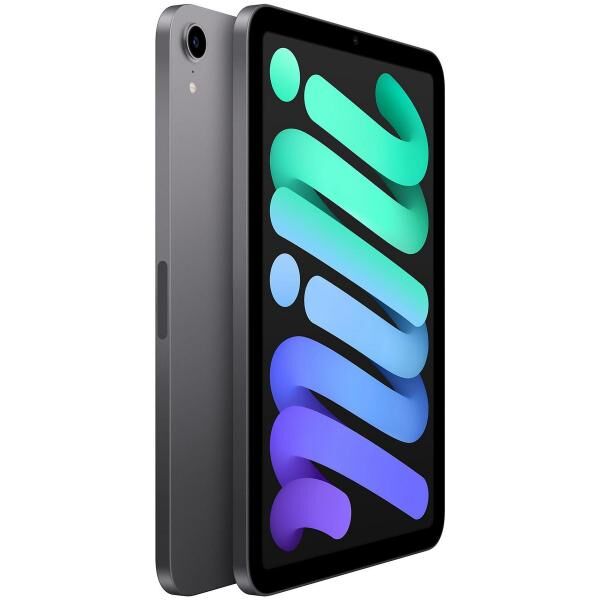   Apple iPad mini (5. Gen.) 256 GB Space Gray